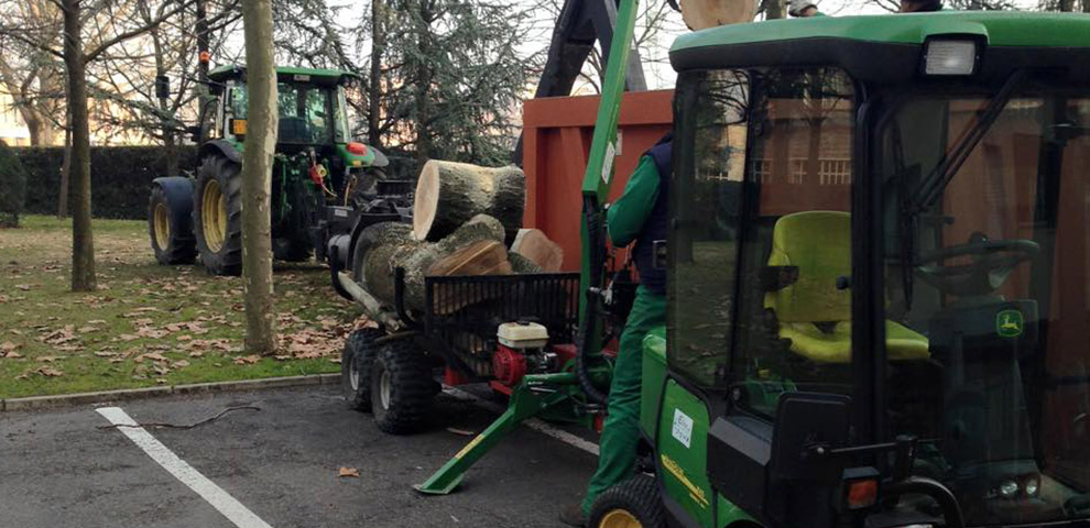 abbattimento piante bologna