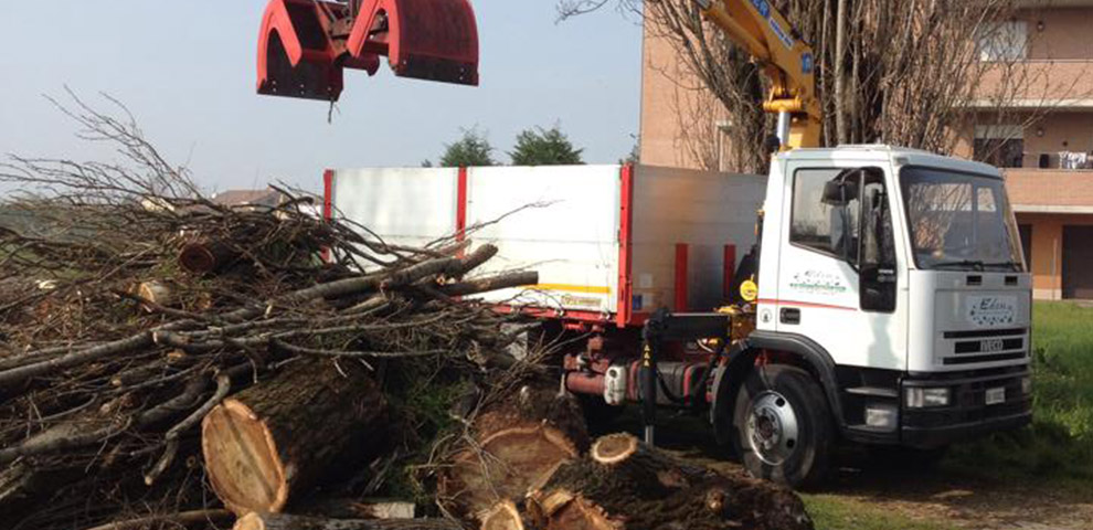 potatura alberi meccanizzata